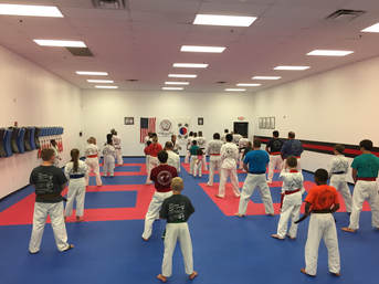 Martial Arts Beginners Classes
