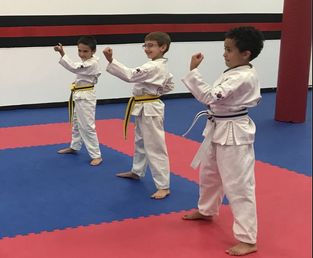 Martial Arts Kids Classes
